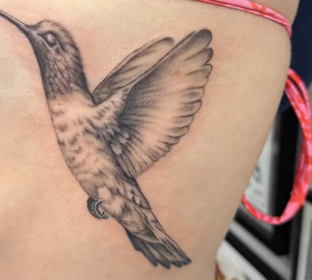 Realistic black-and-grey hummingbird tattoo on a person's ribs.