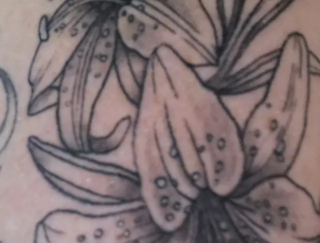 Close-up of black-and-grey tiger lily linework tattooed on an arm.